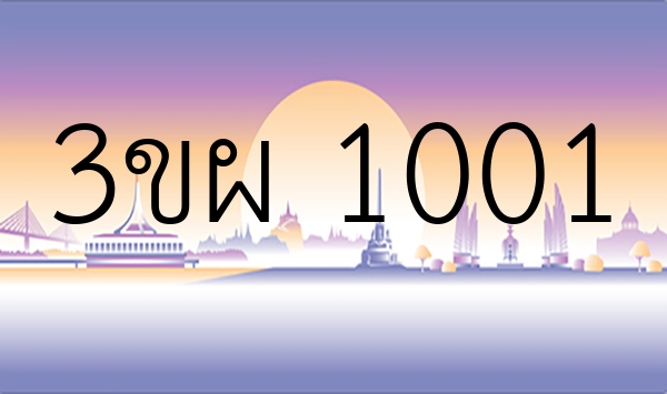 3ขผ 1001